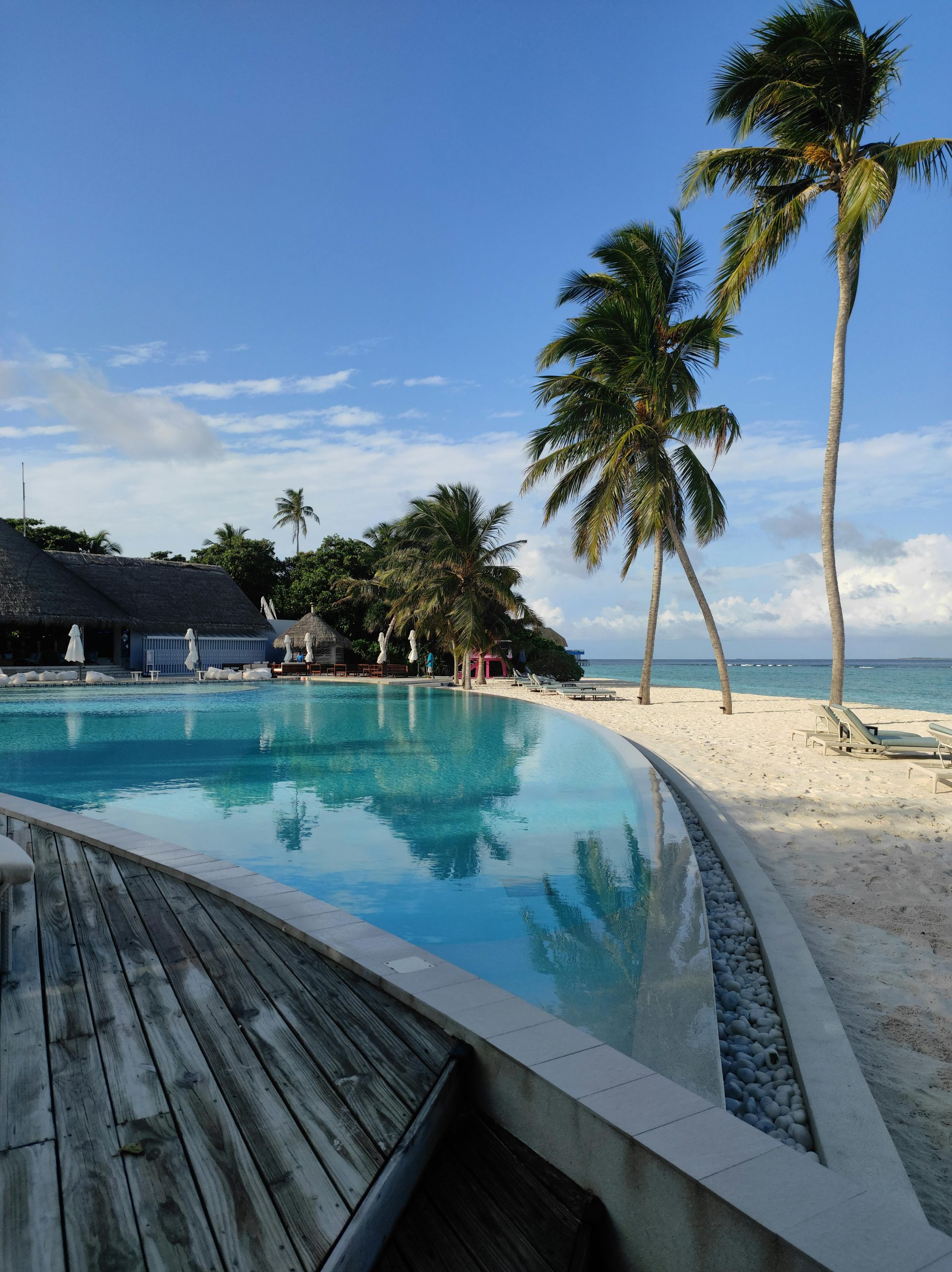 Relaxing beachfront scene at Ifuru Island, Maldives with palm trees and a pristine pool reflecting the sky.