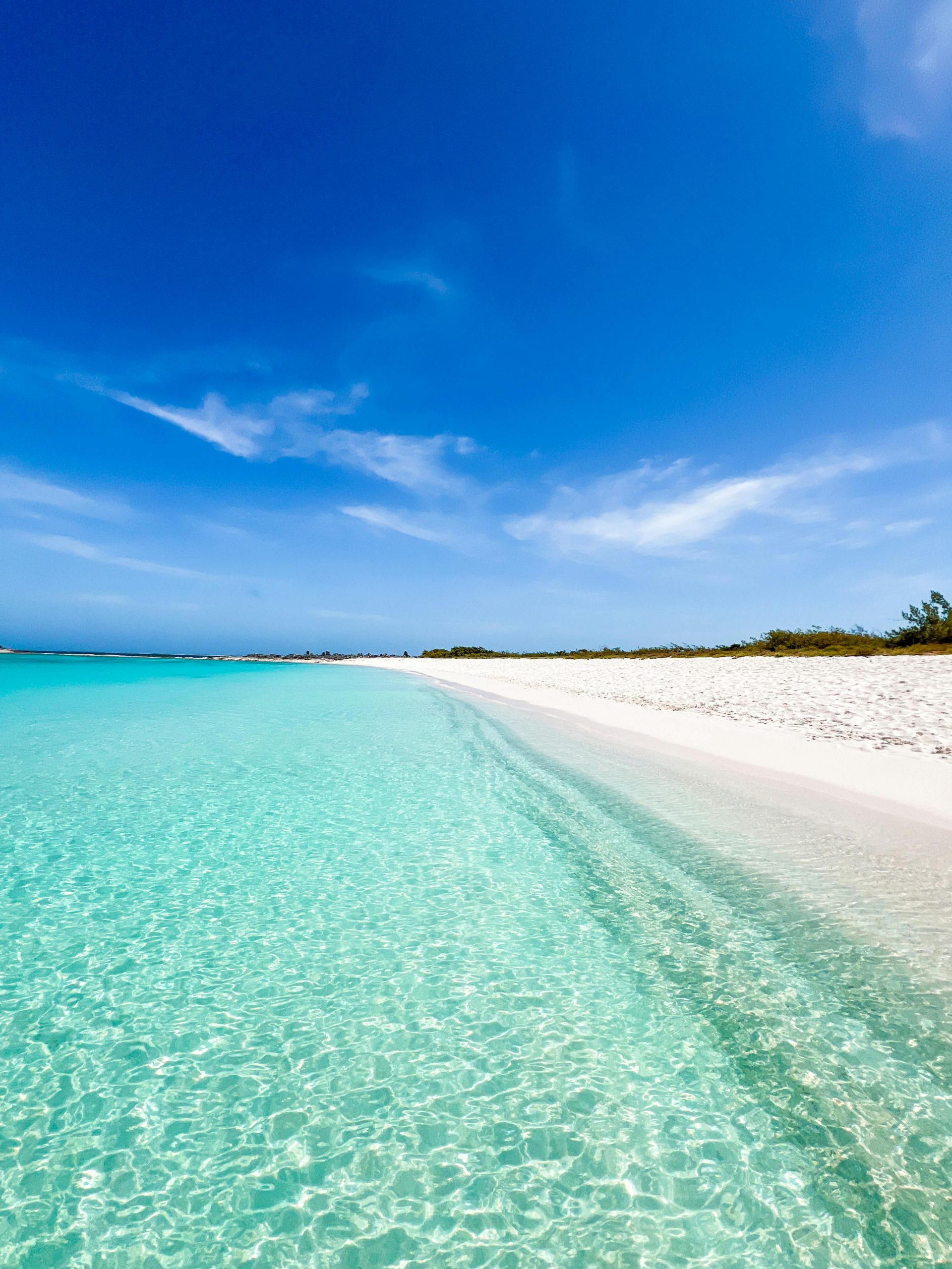 Pristine beach with turquoise waters under a clear blue sky in the Caribbean, Venezuela.
